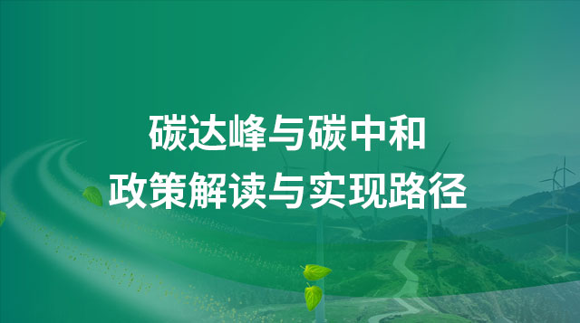碳达峰与碳中和政策解读与实现路径